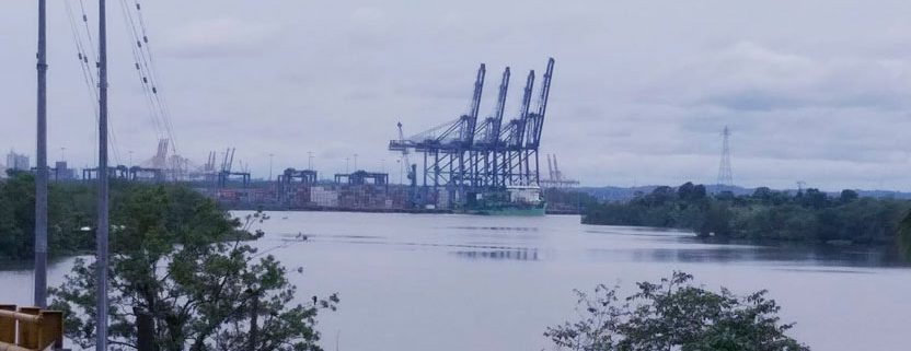 comercio exterior tramites grupo impex