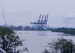 comercio exterior tramites grupo impex